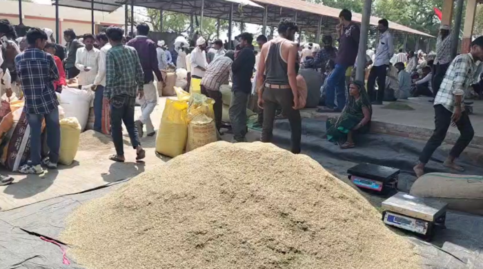 राजघाट रोड़ स्थित कृषि उपज मंडी में सौंफ की खरीदी रही फीकी,  बेभाव दाम, किसान हुए मायूस