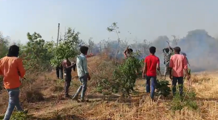 ट्रांसफार्मर पर हुए शॉर्ट सर्किट की चिनगारी से धधके खेत, ग्रामीणों के साहस से टला बड़ा हादसा