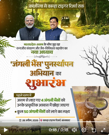 मुख्यमंत्री डॉ. मोहन यादव आज सूपखार में करेंगे जंगली भैंस पुनर्स्थापन अभियान का शुभारंभ