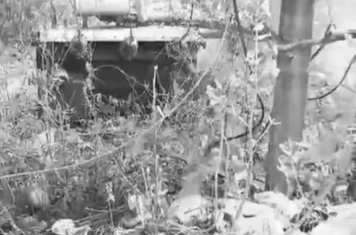 धमाके के साथ ट्रांसफॉर्मर में लगी भीषण आग, बिजली विभाग नदारद, ग्रामीणों ने खुद संभाली कमान