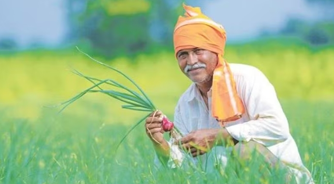 केंद्र सरकार ने बढ़ाया MSP, खरीफ फसलों के किसानों को बड़ी राहत