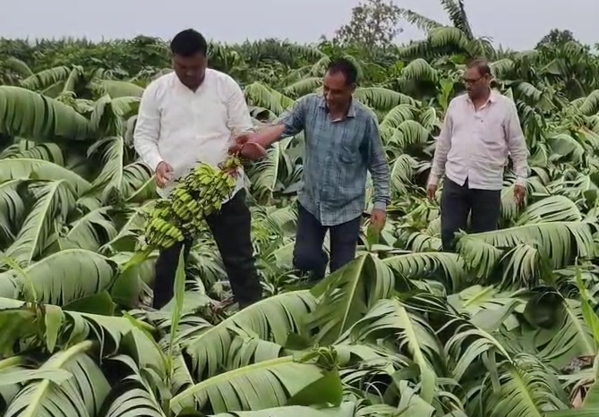 ओलावृष्टि से प्रभावित किसानों के लिए कांग्रेस का प्रदर्शन