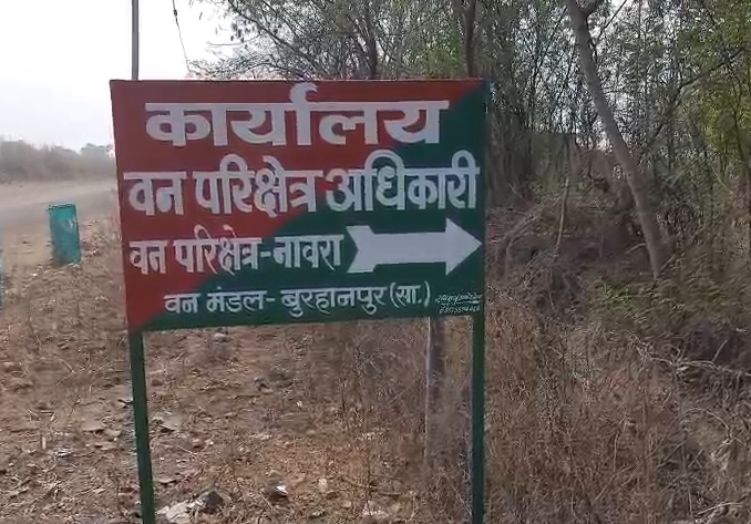 बुरहानपुर में 5 राष्ट्रीय पक्षियों की मौत से सनसनी, जांच में जुटा वन विभाग