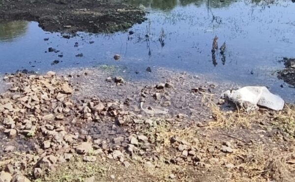 बुरहानपुर: 33 लाख की अमृत-2 योजना का गार्डन बारिश से पहले ही बना जलभराव का शिकार