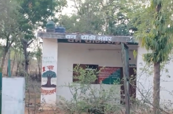 मडोर वन चौकी पर ताला होने का दावा, वायरल वीडियो के बाद उठे सवाल
