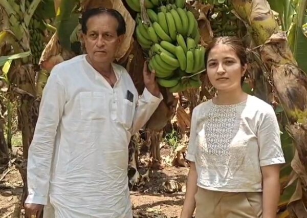 बुरहानपुर के केले को मिला जीआई टैग, किसानों की आय और पहचान को मिलेगा नया विस्तार