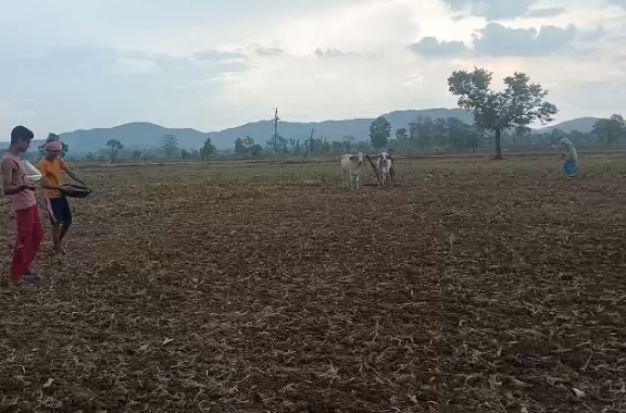 बालाघाट में खाद की कीमतों में बढ़ोतरी से किसान चिंतित, राहत की मांग तेज