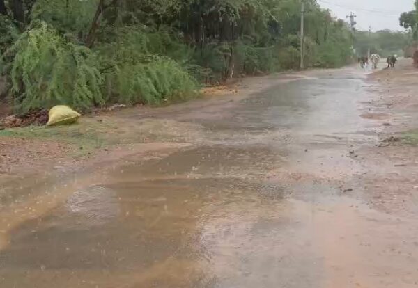 निवाड़ी में झमाझम बारिश से बदला मौसम का मिजाज, गर्मी और उमस से मिली राहत