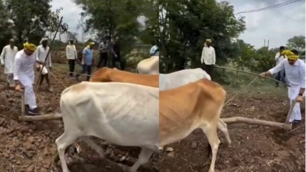 बैतूल में खेत बने राजनीतिक संदेश का मंच