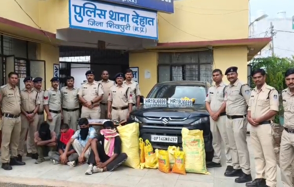 शिवपुरी में दुकानों में चोरी का खुलासा, चार आरोपी गिरफ्तार; लाखों का सामान और अवैध हथियार बरामद