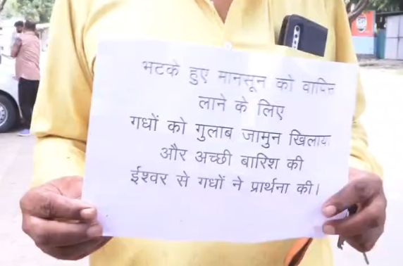 भोपाल में अच्छी बारिश की कामना को लेकर अनोखी पहल, गधों को खिलाए गए गुलाब जामुन