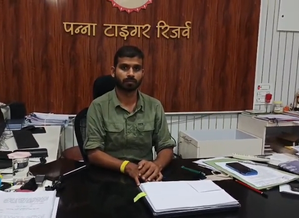 पन्ना टाइगर रिजर्व में खुशखबरी: धूंधुआ सेहा में बाघिन P-652 ने दो शावकों को दिया जन्म