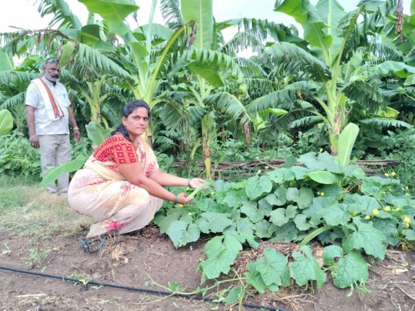 बुरहानपुर में प्राकृतिक खेती से बदल रही कृषि की तस्वीर, महिला कृषक रत्ना दीदी बनीं प्रेरणा