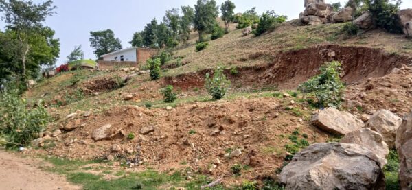 चौड़ा सरकार पहाड़ पर अवैध उत्खनन और अतिक्रमण का आरोप, तहसीलदार ने दिए जांच के निर्देश