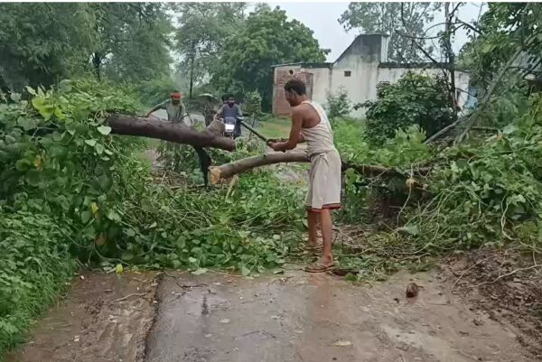 अमानगंज में भारी बारिश से बिगड़े हालात, पाठा नाला उफान पर; कई गांवों का संपर्क प्रभावित