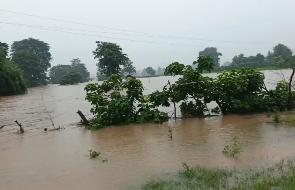 पन्ना में मूसलाधार बारिश से हालात बिगड़े, कई गांव जलमग्न; उमरी गांव बना टापू