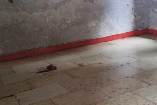 बुरहानपुर के बोरसल स्कूल की बदहाल हालत, बारिश में टपक रही छत और करंट के खतरे से सहमे बच्चे