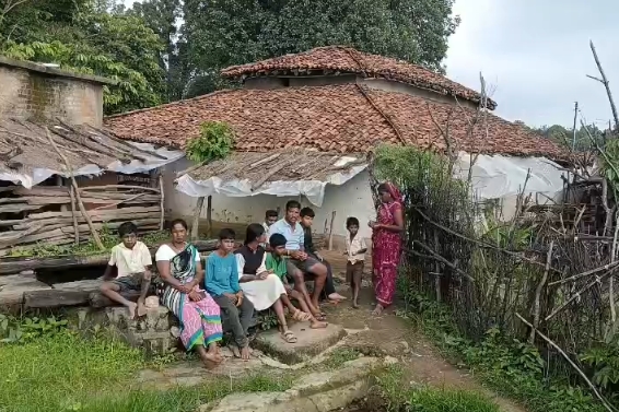 बालाघाट में बाघ की दहशत, ग्रामीण बोले- माओवादियों से नहीं लगा इतना डर, अब बाघ बना चिंता का कारण