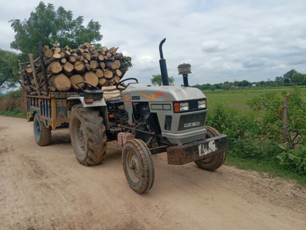 जतारा वन विभाग की लगातार दूसरे दिन कार्रवाई, अवैध लकड़ी परिवहन में ट्रैक्टर-ट्रॉली जब्त