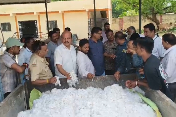 बड़वानी में कपास सीजन की शुरुआत, पहले दिन ₹9 हजार तक पहुंचा भाव; समर्थन मूल्य को लेकर किसान संघ सख्त