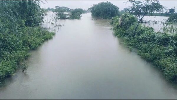मुरैना के डाभीपुरा में बारिश का कहर, जलभराव से आवागमन बंद और फसलें बर्बाद