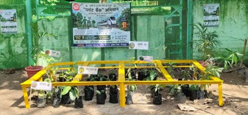 गोरखपुर में कूड़े के स्थल का कायाकल्प, अब बनेगा प्लांट बैंक