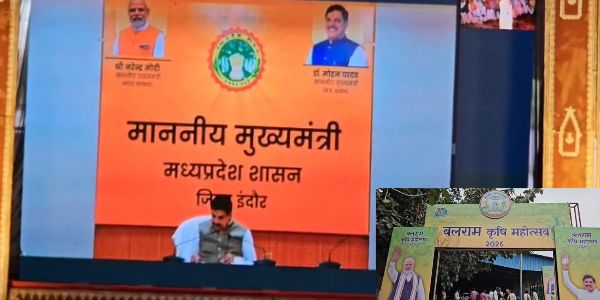 Farmers News: कटनी मंडी में कृषि उत्सव के बीच किसानों की बढ़ी मुश्किलें, बारिश से भीगा अनाज