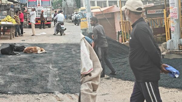 मुरैना में CM के दौरे से पहले सड़कों की मरम्मत तेज, नगर निगम की कार्यप्रणाली पर उठे सवाल