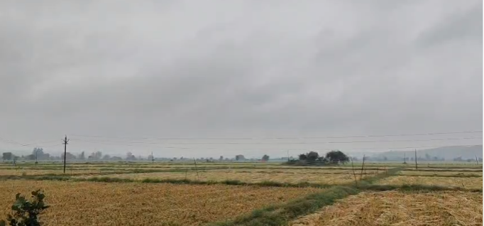 Raisen Rain Alert: मध्य प्रदेश में मौसम का यू-टर्न, रायसेन में बारिश से किसानों की बढ़ी मुश्किलें, अर्नब चक्रवात का अलर्ट